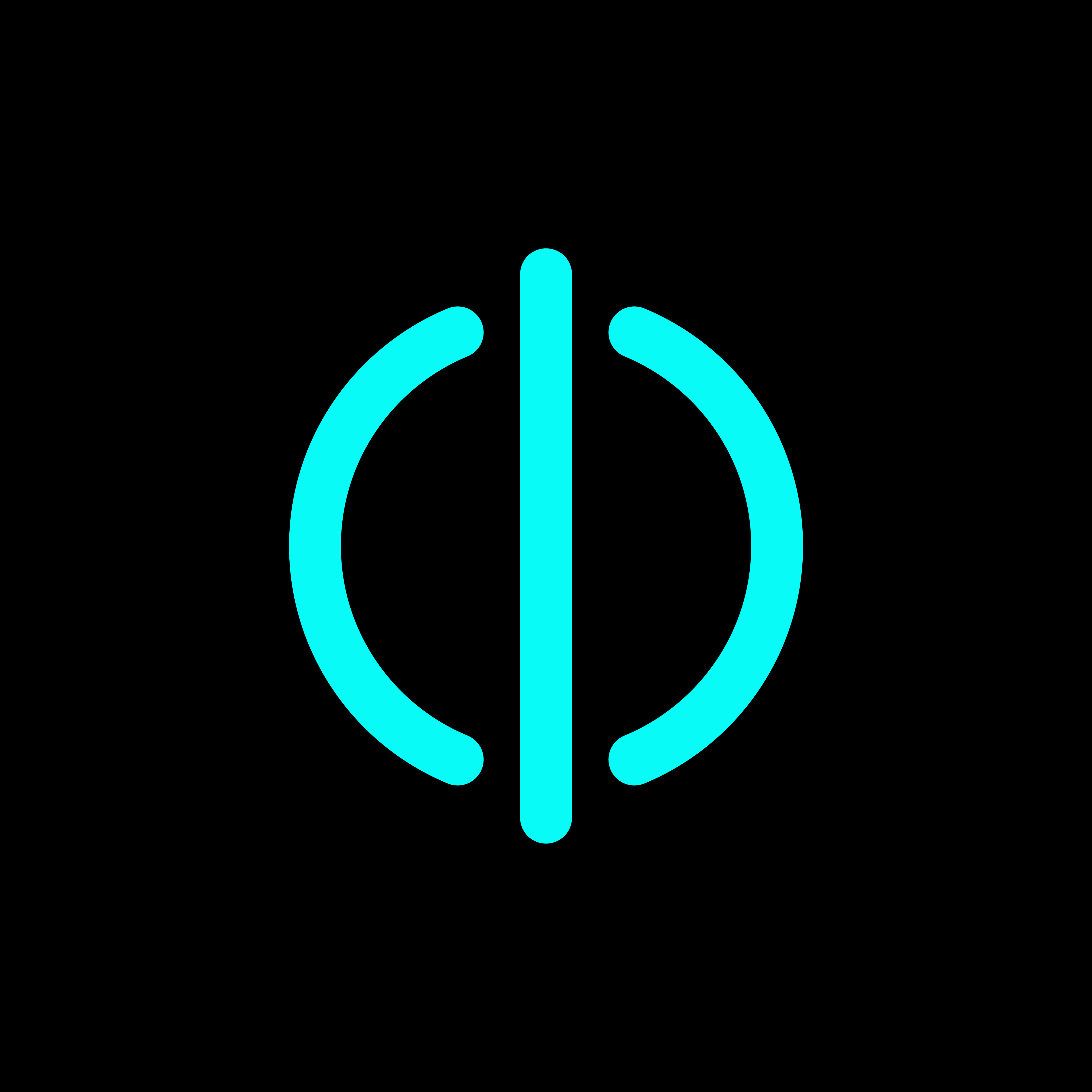 bitOps Dev Logo